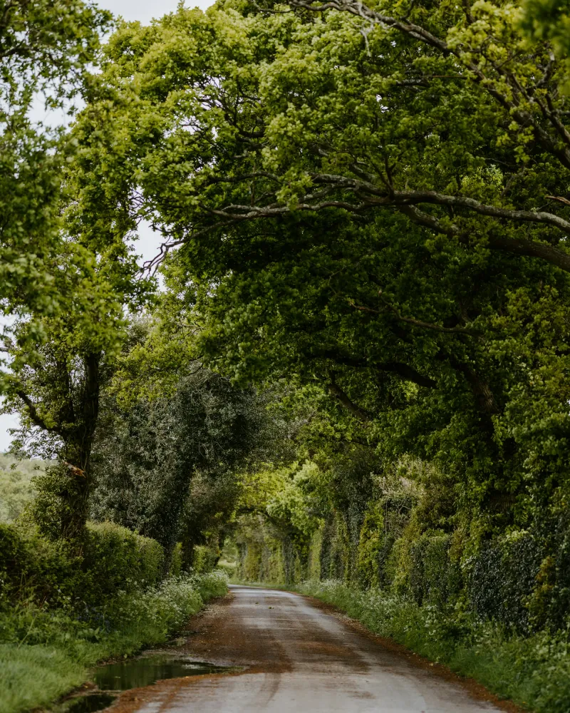 path